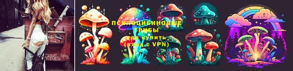 крисы Вязники