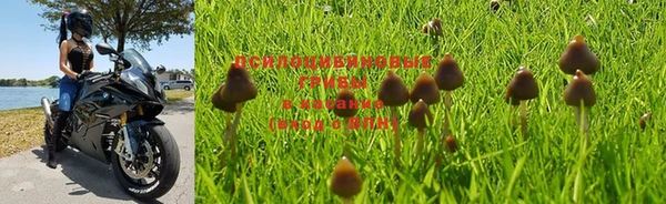 крисы Вязники