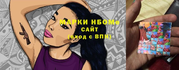шишки Горнозаводск