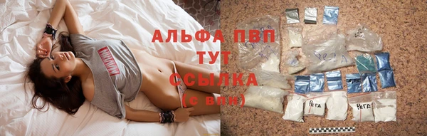 ECSTASY Вязьма
